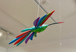 Wood Hummingbird